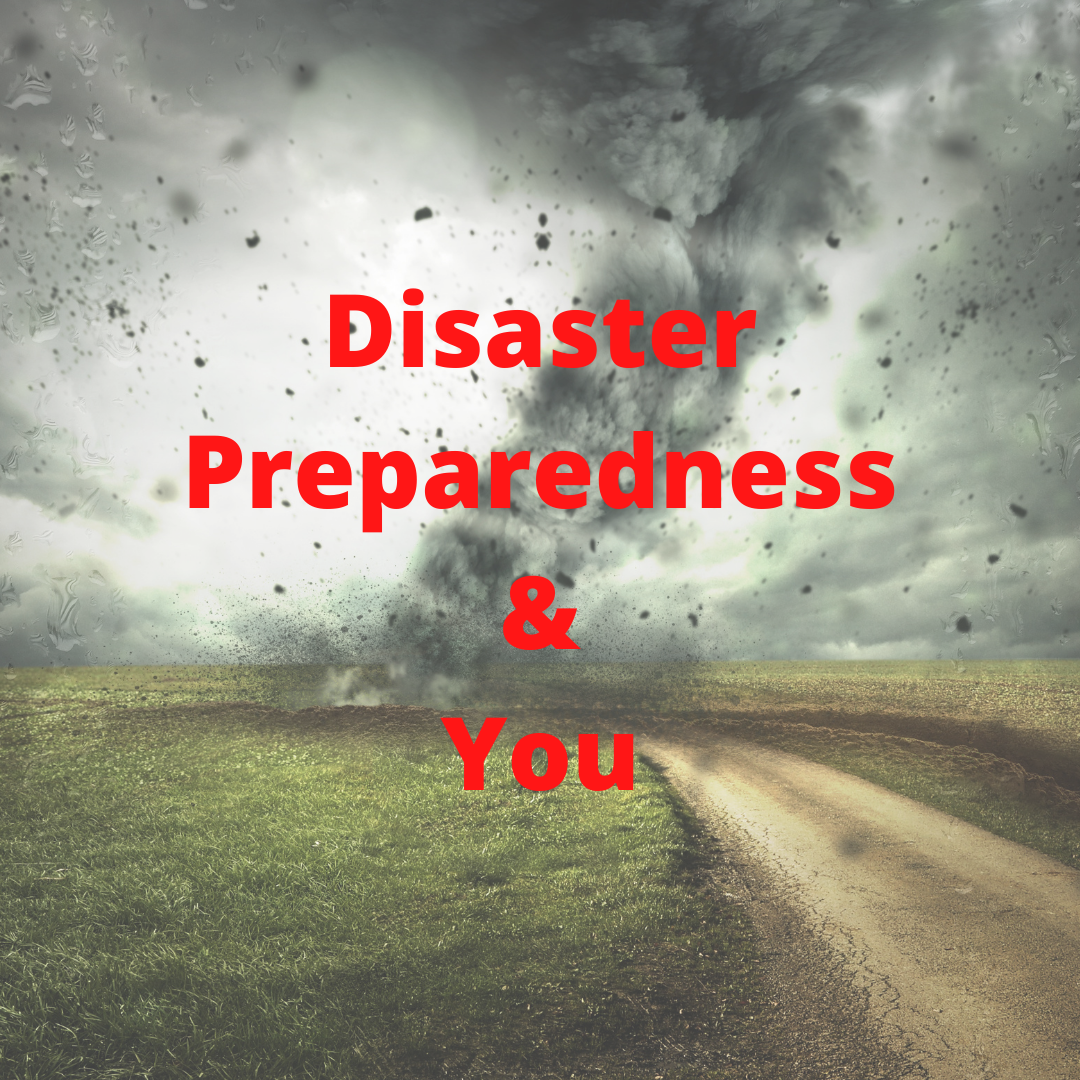 Disaster Preparedness & You text over tornado picture 