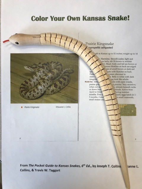 Kansas snake craft