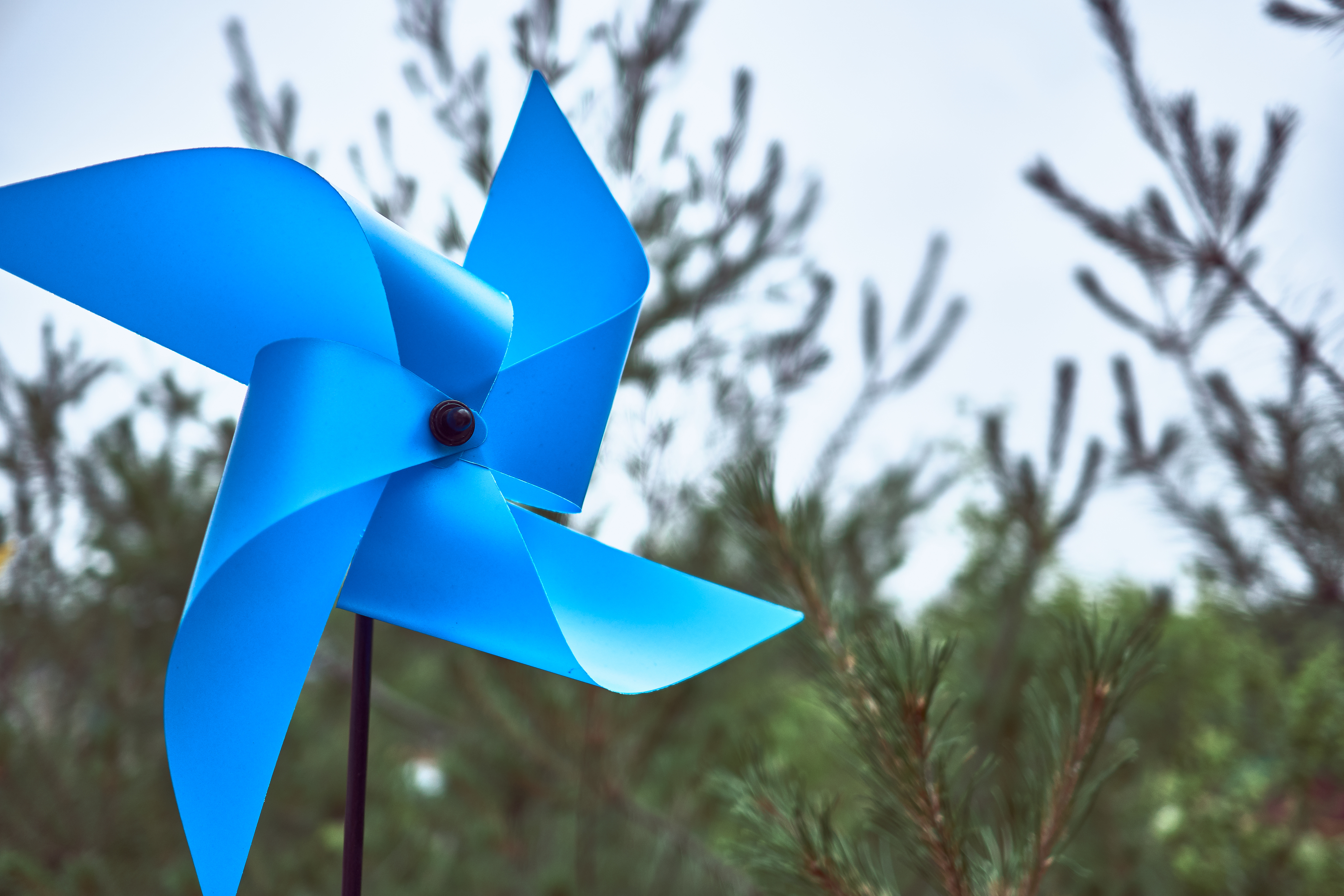 blue pinwheel