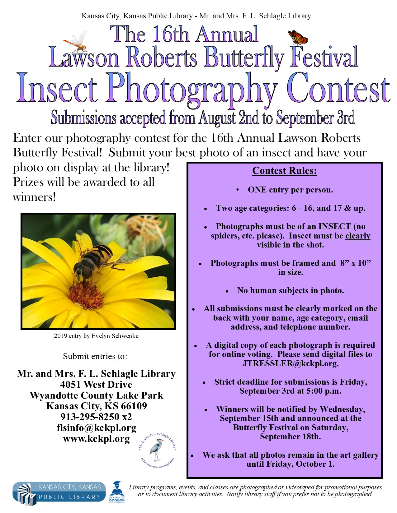 Insect Photography Contest