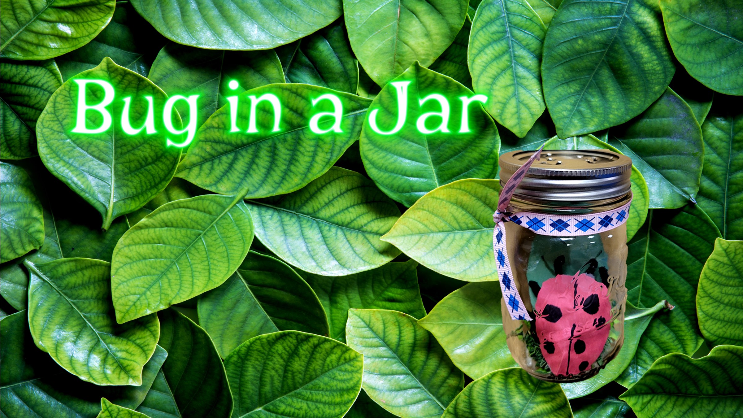 Bug in a Jar
