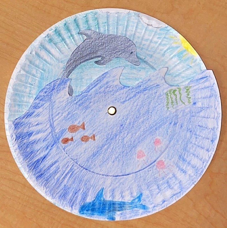 dolphin plate