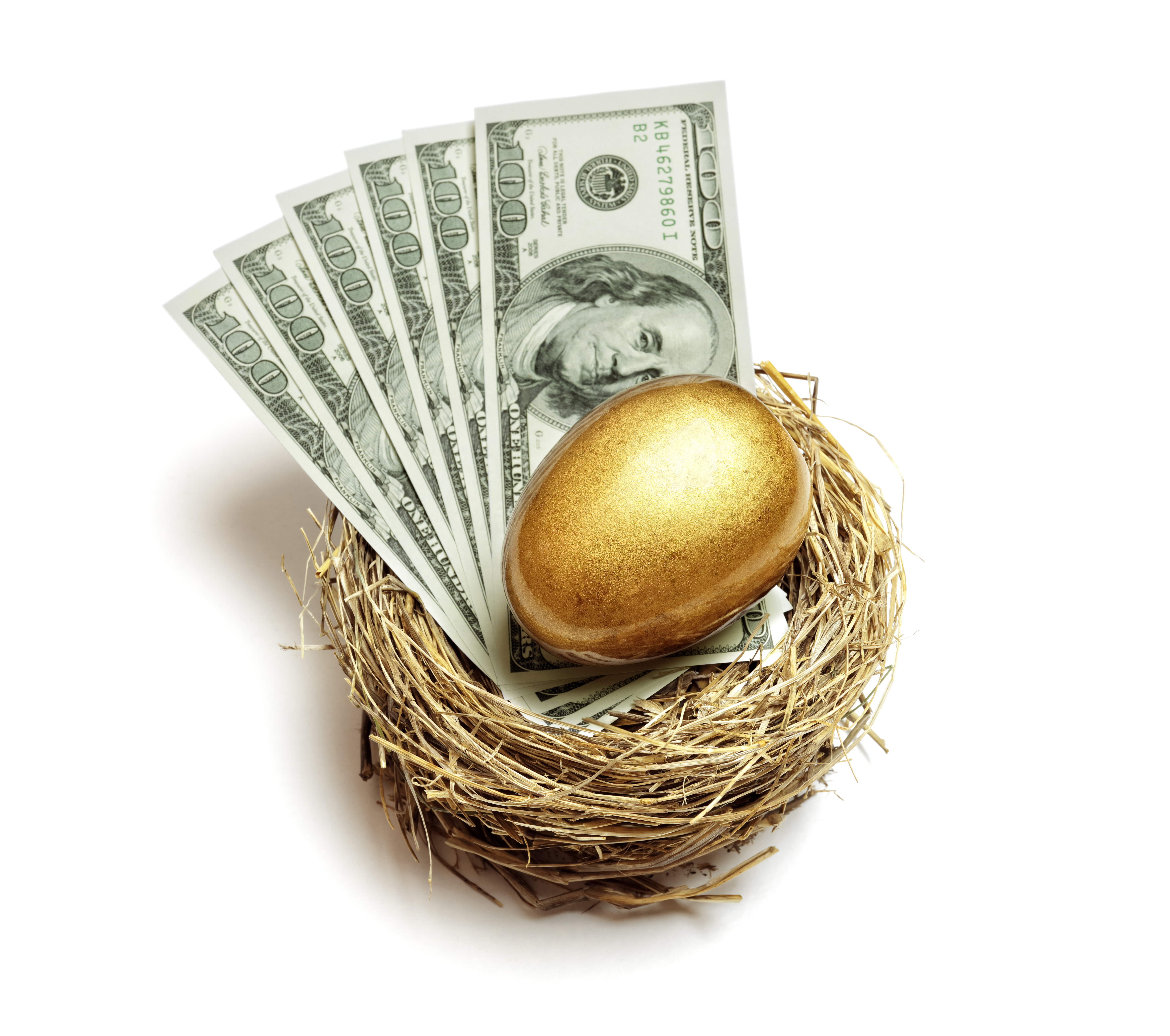 golden egg in a basket with dollar bills