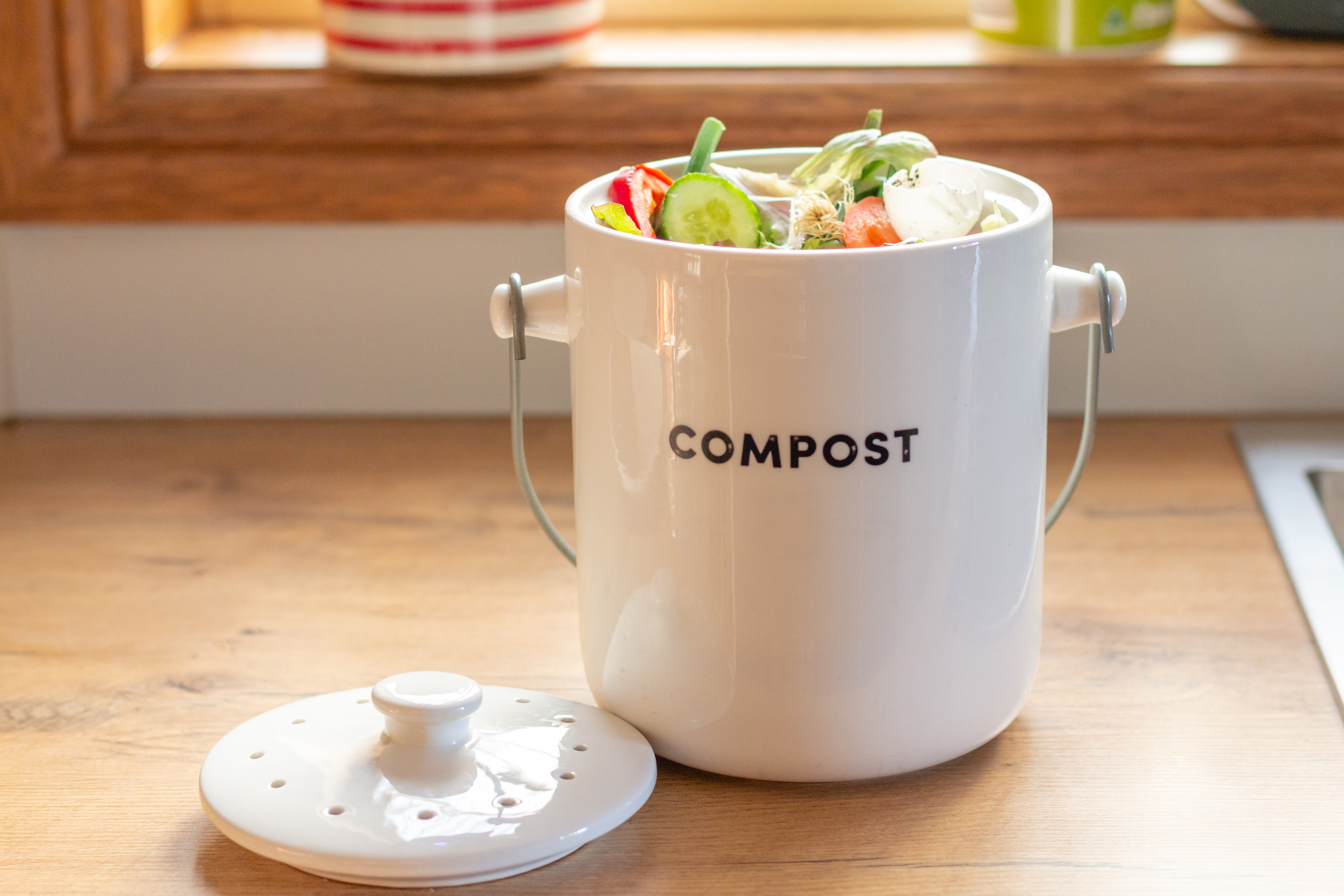 A compost bucket sits on a kitchen counter. 
