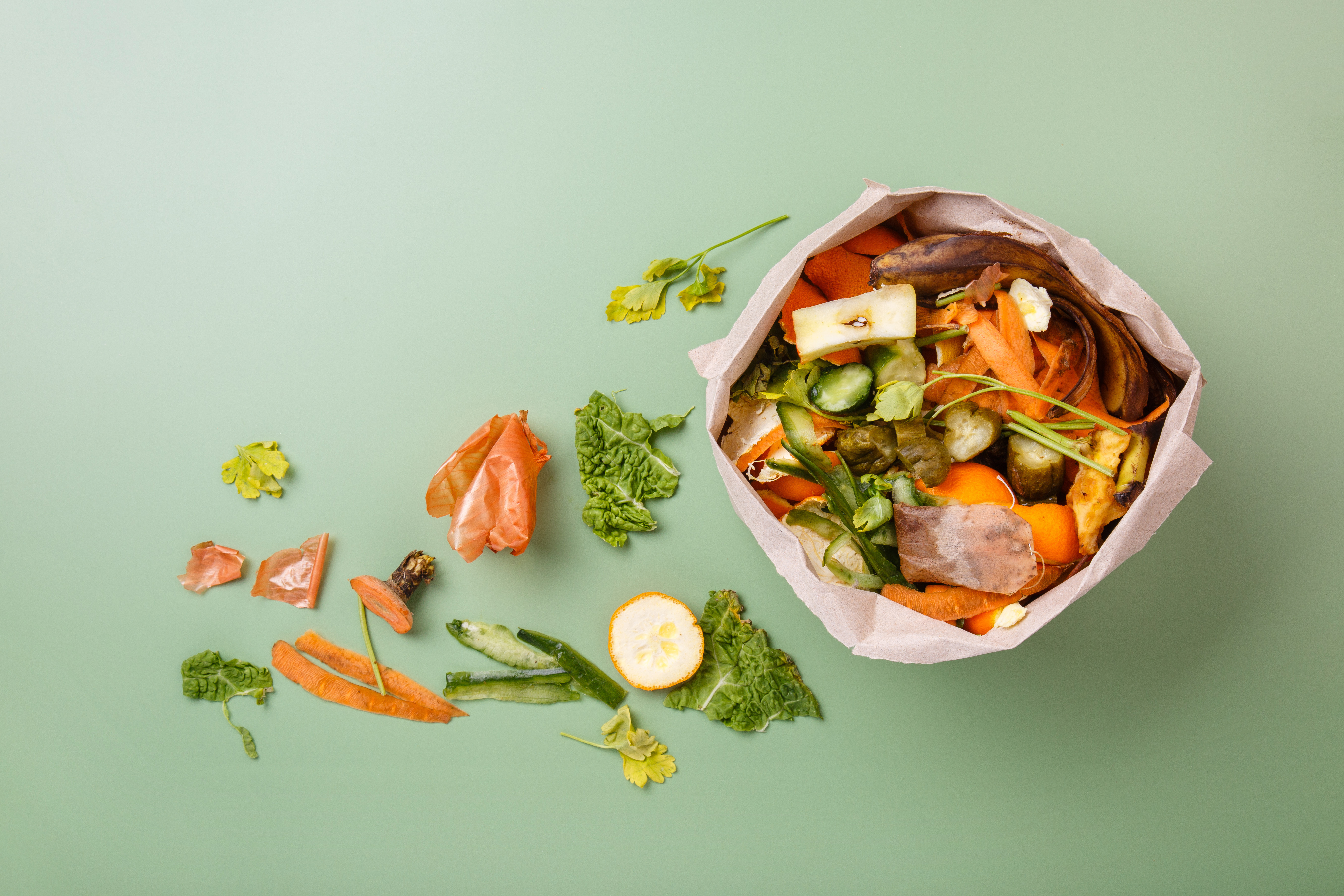 A mint green background with a brown paper bag full of veggies scraps and scraps artfully arranged next to the bag. 