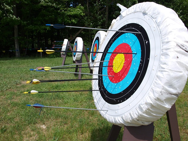 Arrows hitting Archery Target