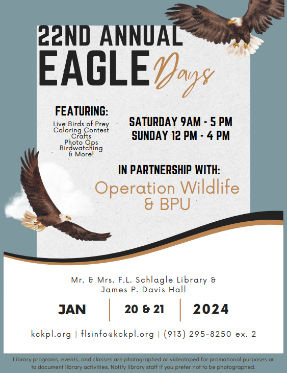 22nd Annual Eagle Days Flyer
