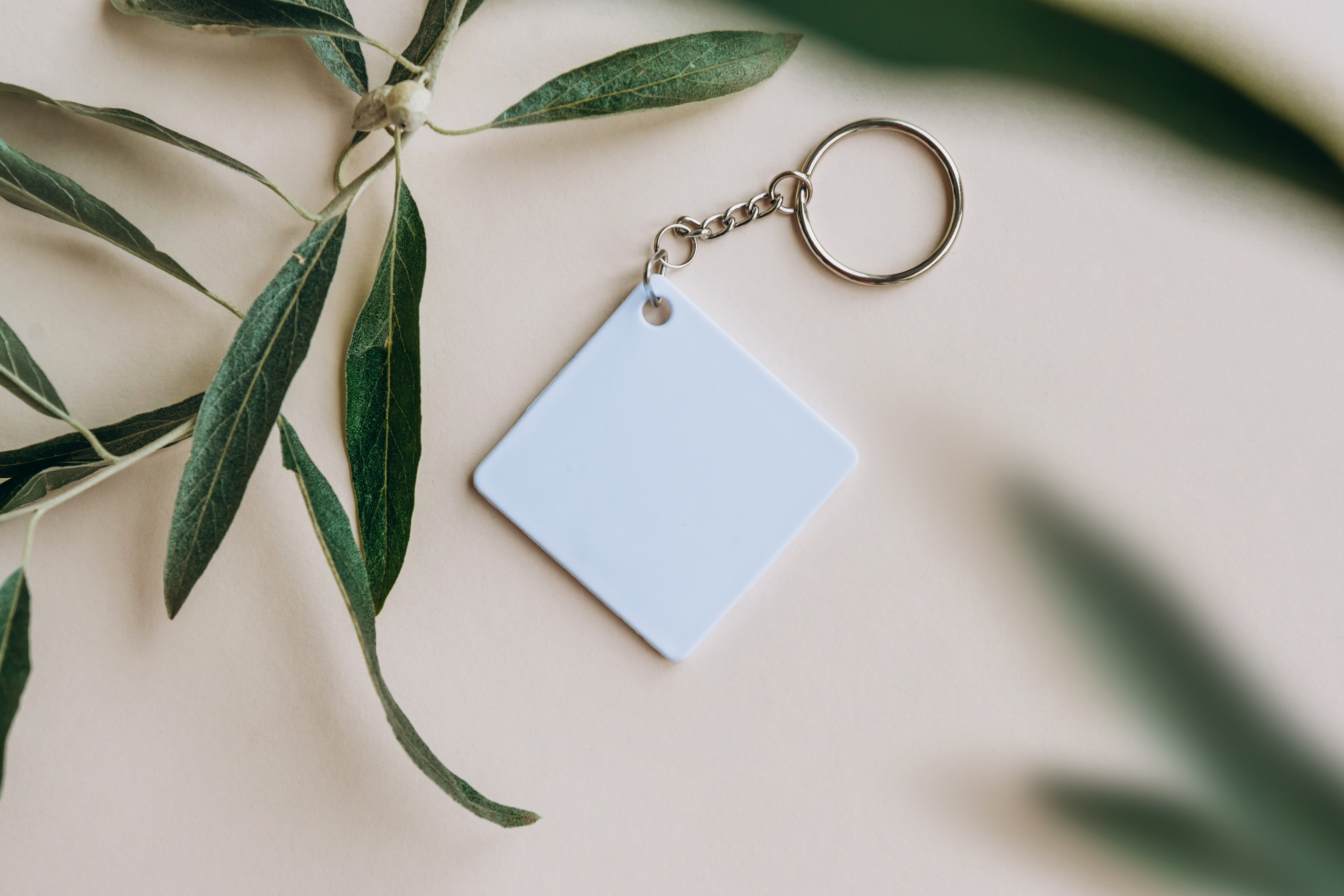 picture of a blank keychain