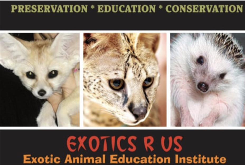 Exotics R Us Animals