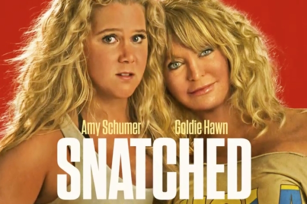 Snatched movie poster