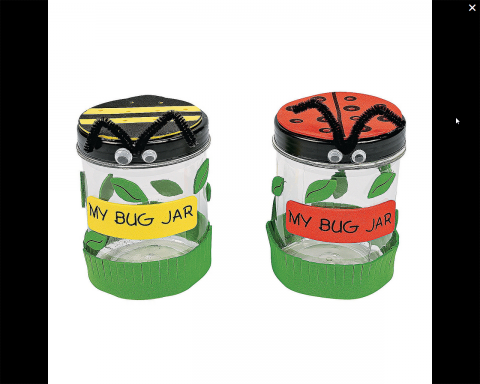 Bug Jar