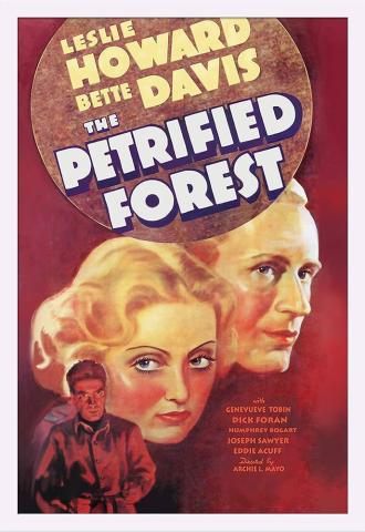 Poster for the movie The Petrified Forest