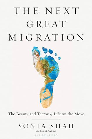The Next Great Migration book cover