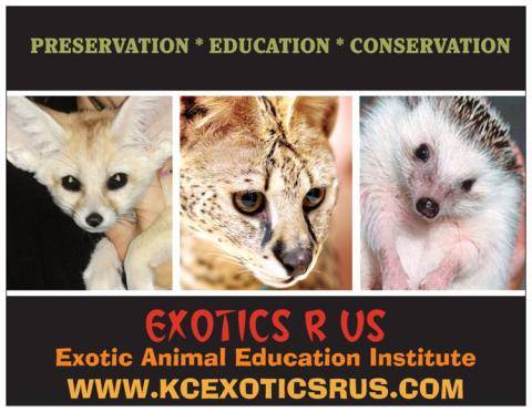 Exotic-r-us Logo and three exotic animals. 