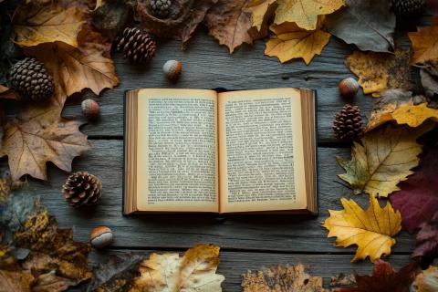 A book is open on a wooden table surround by acorns and fall leaves. 