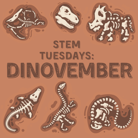 dirt with fossils that look like dinosaurs and the words STEM-Tuesdays Dinovember