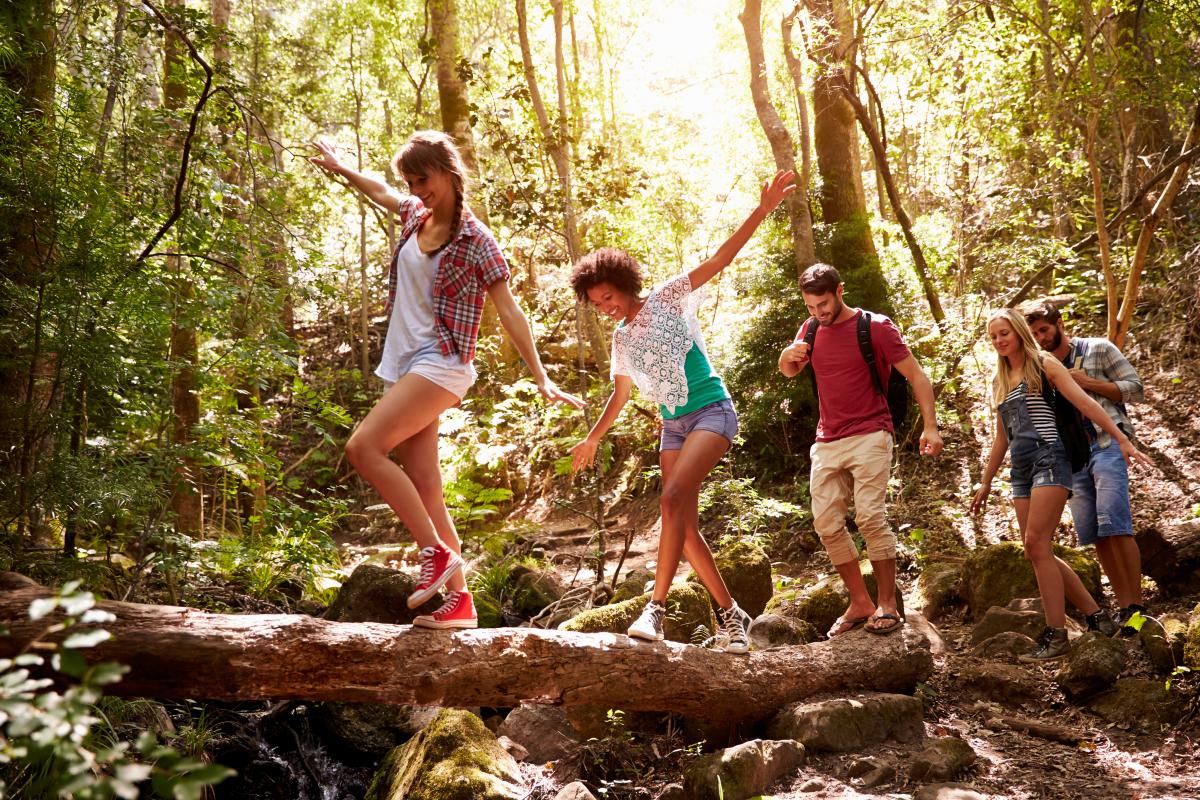 Group of people hiking in a forest. 